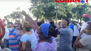 video: acto de repudio, golpizas y detenciones: asi termino la protesta convocada por el movimiento san isidro