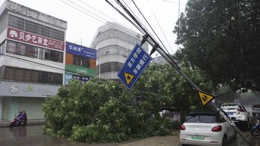 En esta foto de la agencia noticiosa Xinhua, un árbol caído cierra una calle durante el paso del tifón Talim en Qinzhou, Región Autónoma Guangxi Zhuang del sur de China, martes 18 de julio de 2023. (Hu Xingyu/Xinhua via AP)
