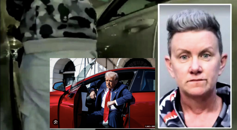 Tesla Trump.png