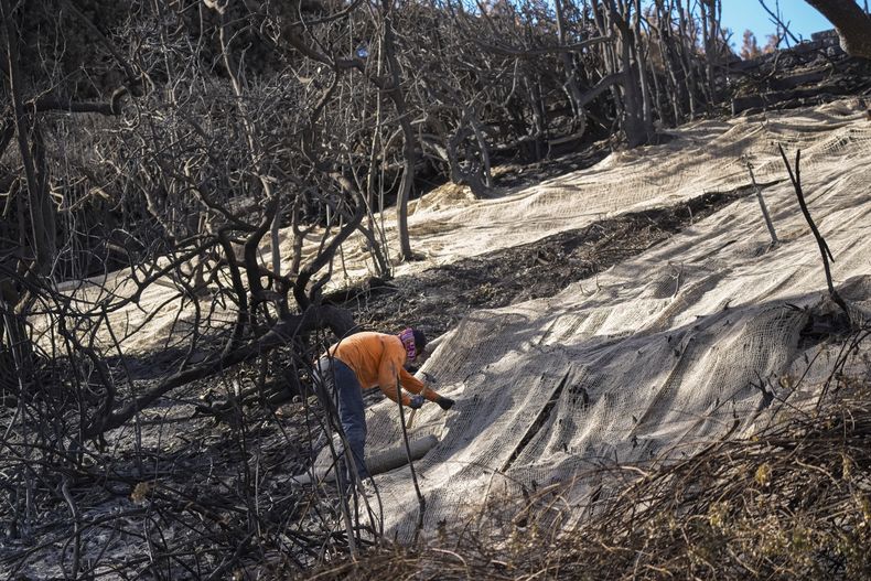 Trabajadores aseguran una red para evitar desprendimientos sobre el lado quemado de una mansión en el barrio Pacific Palisades de Los Ángeles, el viernes 24 de enero de 2025. (AP foto/Damian Dovarganes)