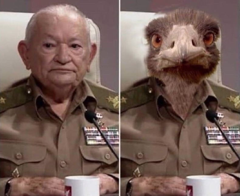 Screen Shot 2019-04-10 at 6.39.53 PM.png