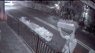varios restaurantes vandalizados durante el fin de semana en miami