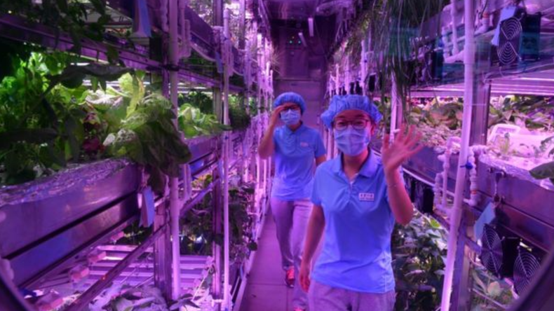 Screenshot (1893).png