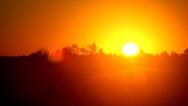 el indice de calor podria alcanzar los 105 grados fahrenheit