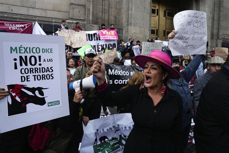 Una defensora de las corridas de toros grita proclamas contra activistas de los derechos de los animales reunidos a las afueras de la Suprema Corte, en Ciudad de México, el miércoles 6 de diciembre de 2023. La Suprema Corte de México tenía previsto decidir si reactivaba las corridas en la capital, un año después de que fueran prohibidas. (AP Foto/Fernando Llano)