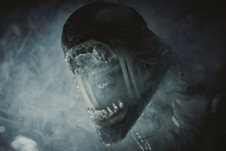 Esta imagen proporcionada por 20th Century Studios muestra a Xenomorfo en una escena de Alien: Romulus. (Estudios 20th Century vía AP)