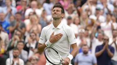 Djokovic causa baja del torneo en Cincinnati
