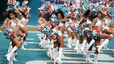 dolphins buscaran animadoras en argentina, colombia y mexico