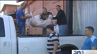 Navidad con el típico lechón asado