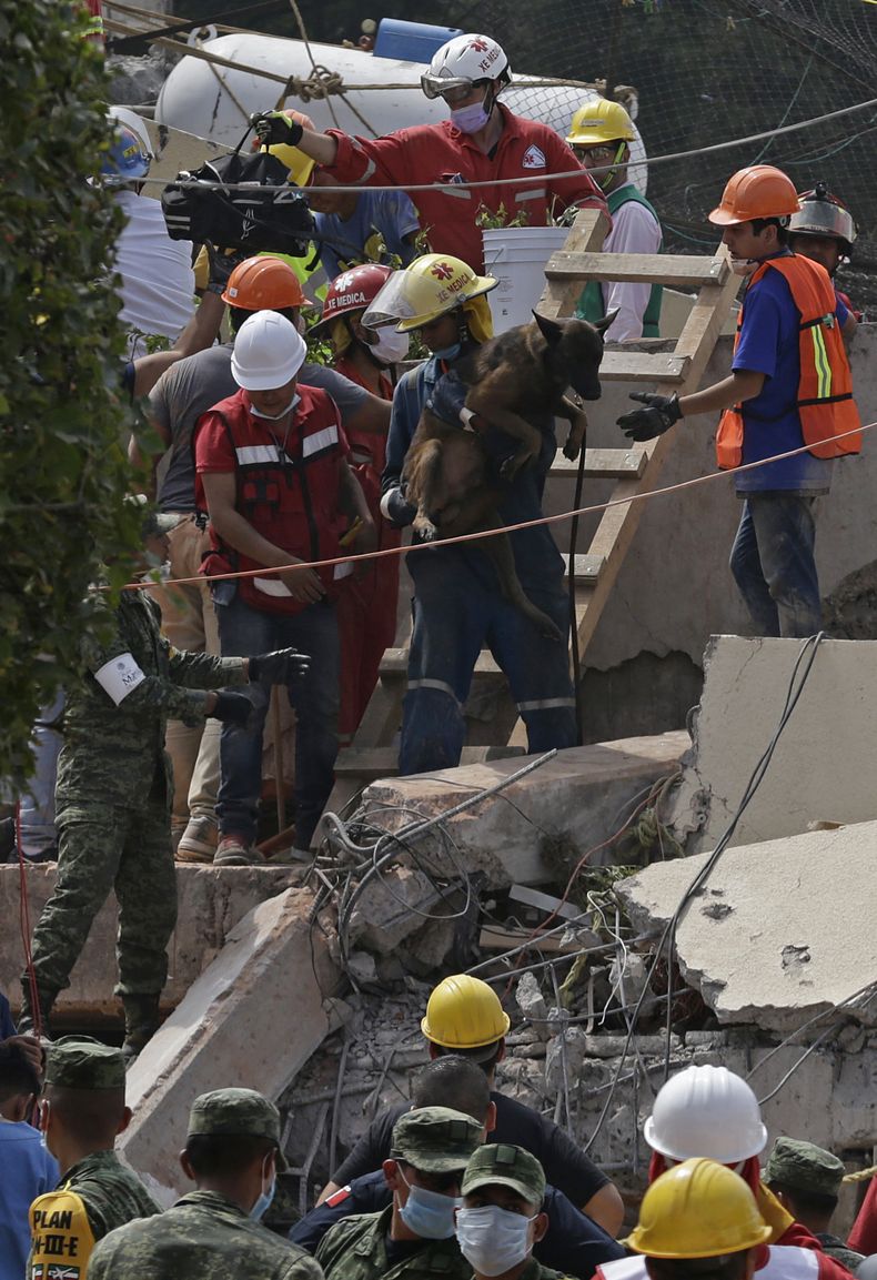 AMN-GEN_MEXICO-SISMO-0.jpg
