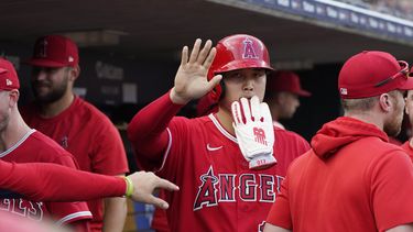 Shohei Ohtani, de los Angelinos de Los Ángeles, festeja en la cueva luego de anotar una carrera en el juego del martes 25 de julio de 2023, ante los Tigres de Detroit (AP Foto/Carlos Osorio)