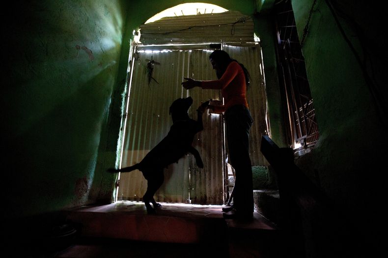 REP-GEN_VENEZUELA-MASCOTAS_CRISIS-7.jpg