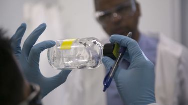 latente la amenaza del mosquito aedes aegypti