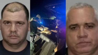 acusan a dos cubanos de miami por secuestrar a un venado en los cayos de la florida
