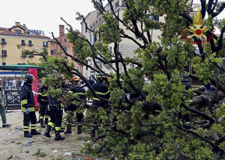 Bomberos trabajan en el lugar donde se cayó un árbol de 50 años sobre personas que se encontraban a la sombra, junto a una parada de autobús en Venecia, Italia, el lunes 2 de junio de 2025. (Filippo Attili/Vigili Del Fuoco vía AP)