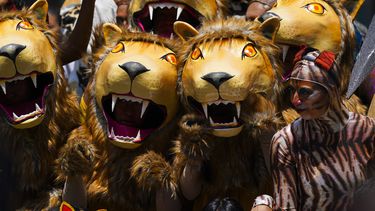 Actores vestidos de leones posan para las fotos con visitantes durante un desfile por el centenario del zoológico de Chapultepec, en Ciudad de México, el jueves 6 de julio de 2023. Los organizadores del zoológico invitaron a los visitantes a ir vestidos de su animal favorito. (AP Foto/Fernando Llano)