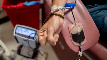 Los bancos de sangre no han recuperado los abastos prepandemia