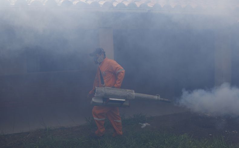 AMS-GEN BOLIVIA-DENGUE