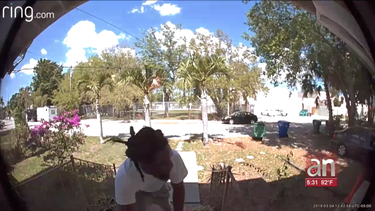 captado en camara hombre robando un paquete de correo frente a una casa de miami