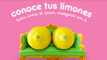 los limones que ayudan a entender las senales del cancer de mama