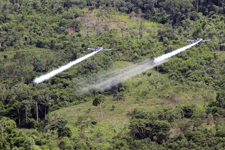 AMS-GEN_COLOMBIA-COCA-0.jpg