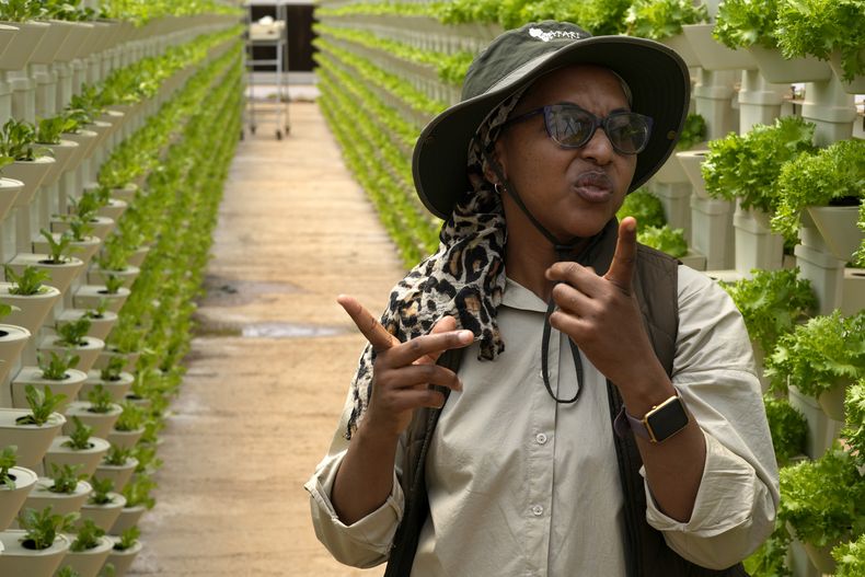 La empresaria Matebogo Victoria se comunica mediante un lenguaje de signos durante una entrevista con The Associated Press en el parque agrícola de Westonaria, cerca de Bekkersdal, al este de Johannesburgo, Sudáfrica, el viernes 11 de octubre de 2024. (AP Foto/Themba Hadebe)