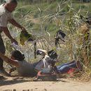 Una inmigrante que cruzó a Estados Unidos desde México es auxiliada a pasar debajo de alambre de púas en una de las márgenes del río Bravo, el jueves 21 de septiembre de 2023, en Eagle Pass, Texas. (AP Foto/Eric Gay)