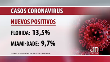 condado miami-dade registra una disminucion en el porcentaje de nuevos positivos de coronavirus