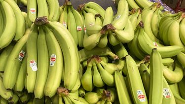 Inflación en EEUU es la más alta en cuatro décadas