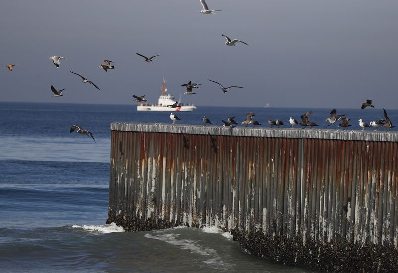 ARCHIVO - Aves en el muro que separa México de Estados Unidos, en la zona fronteriza que llega al océano Pacífico, en Tijuana, México, el 17 de noviembre de 2018. Cuando cientos de aves aparecieron muertas en la costa del Pacífico mexicano semanas atrás, la principal sospecha de los expertos era que se trataba de nuevos casos de gripe aviar. Pero el gobierno de México afirmó el jueves 15 de junio de 2023 que la causa de dichas muertes es el calentamiento de las aguas del Pacífico por los efectos del fenómeno meteorológico de El Niño. (AP Foto/Marco Ugarte, Archivo)