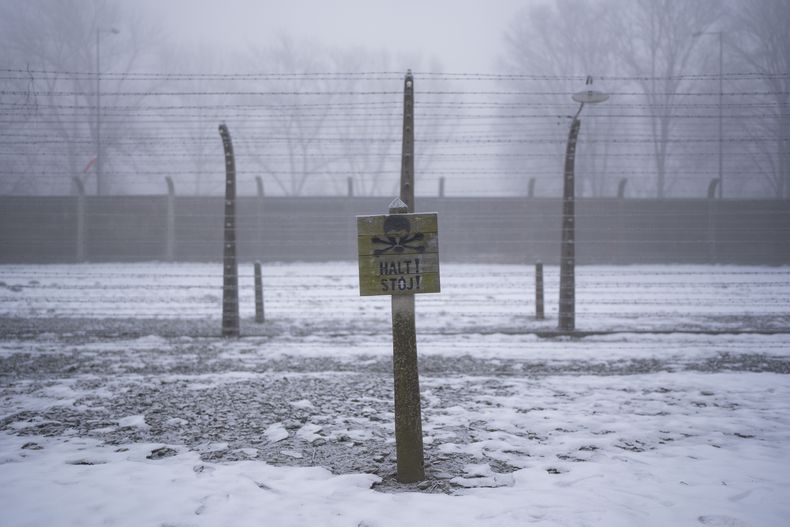 Un letrero de madera que dice ALTO se yergue frente a la que era una cerca electrificada de alambre de púas, dentro del excampo de concentración y exterminio Auschwitz I, el jueves 23 de enero de 2025, en Oswiecim, Polonia. (AP Foto/Oded Balilty)