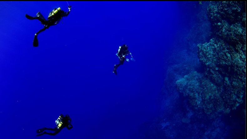 Screenshot (1863).png