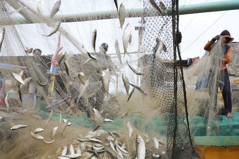 REP-GEN PESCA MUNDIAL-CORRUPCIÓN