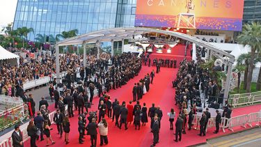 sean penn, nanni moretti y kirill serebrennikov, competiran por la palma de oro del festival de cannes