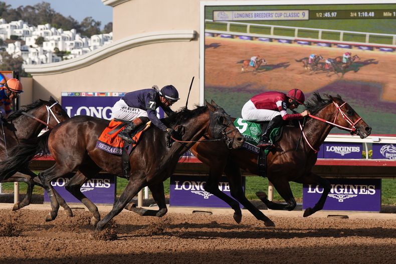 Ryusei Sakai (5) monta a Forever Young, que gana el Clásico de la Copa de Criadores el sábado 1 de noviembre de 2025, en Del Mar, California (AP Foto/Gregory Bull)