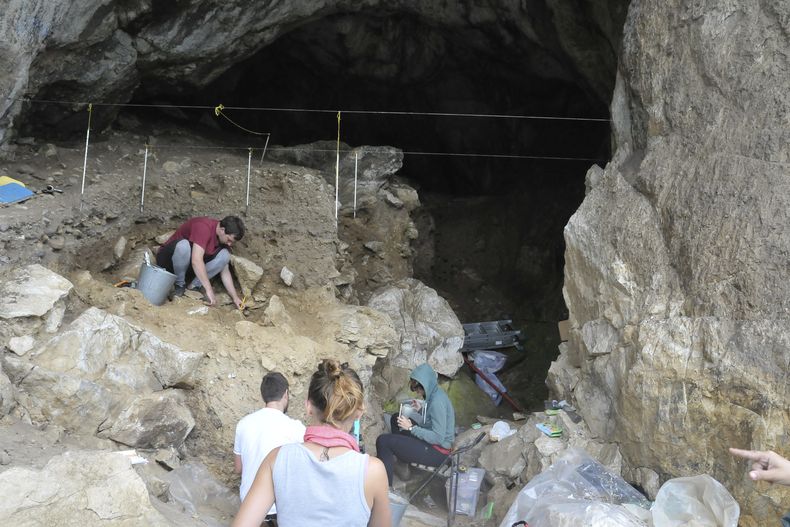 MUN-CIE FAMILIA NEANDERTAL