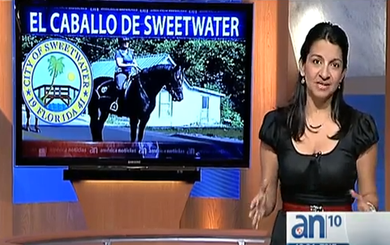 Y donde está el caballo?