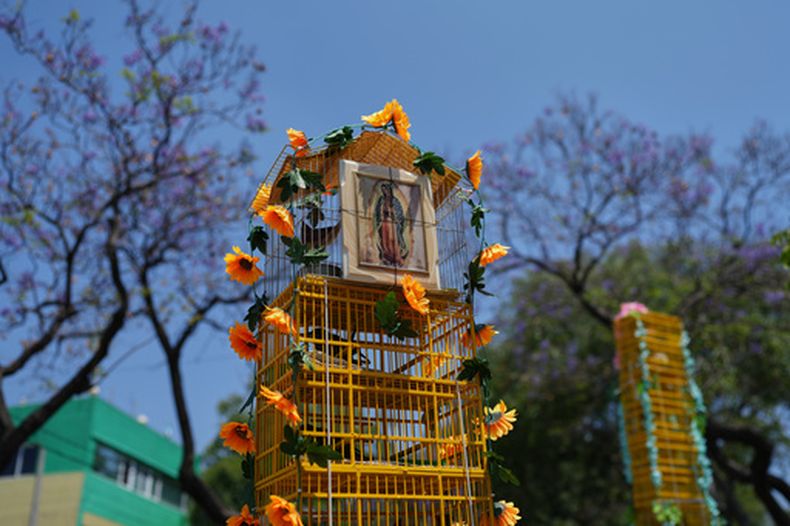 Jaulas decoradas yacen sobre un camino durante la peregrinación anual de vendedores de aves a la Basílica de Guadalupe, el domingo 29 de marzo de 2026, en la Ciudad de México. (AP Foto/Eduardo Verdugo)