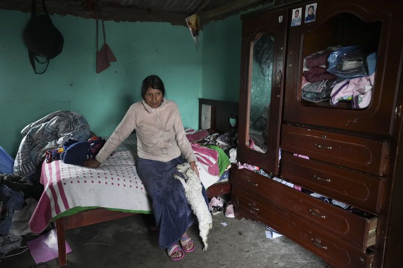Gloria Llugsha acaricia a su perro durante una entrevista sobre el voto indígena antes de la segunda vuelta de las elecciones presidenciales en Cochapamba, Ecuador, el martes 11 de febrero de 2025. (Foto AP/Dolores Ochoa)