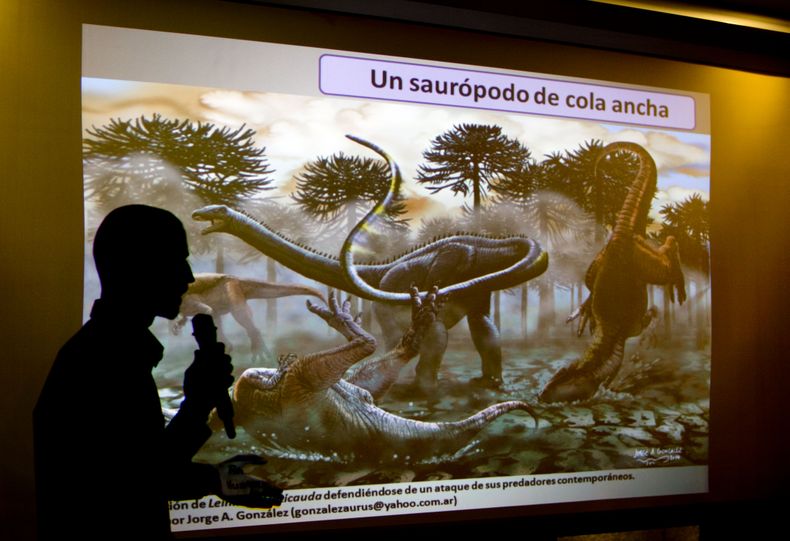 El paleont&oacute;logo Pablo Gallina explica a la prensa el descubrimiento en Argentina de un nuevo dinosaurio en Buenos Aires, el jueves 5 de mayo de 2014. Se trata del primer registro de un dinosaurio diplod&oacute;cido de cuello y cola largos en Sudam&