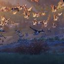 En esta imagen proporcionada por Universal Pictures, una escena de Wild Robot de DreamWorks Animation. (DreamWorks Animation/Universal Pictures via AP)