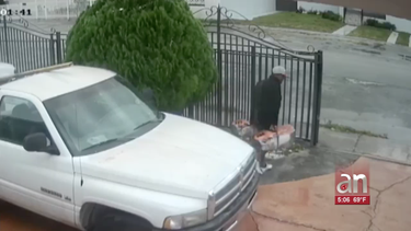 hombre roba herramientas de albanileria de  la casa de una familia cubana de hialeah
