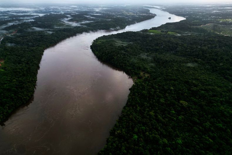 ARCHIVO – Los árboles bordean el río Oiapoque en la frontera entre Brasil y la Guyana Francesa, en Oiapoque, estado Amapa, Brasil, el 10 de marzo de 2026. (AP Foto/Eraldo Peres, Archivo)