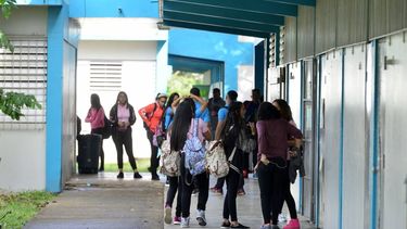 pediran cuentas a educacion sobre violencia en las escuelas