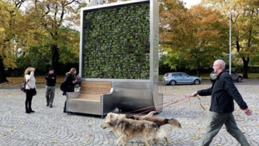 el arbol creado en alemania que absorbe la contaminacion del aire en la ciudad como si fuese un pequeno bosque