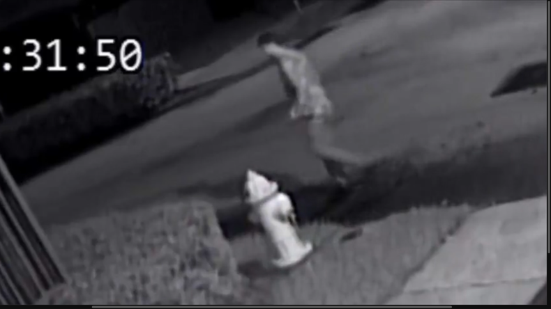 Screen Shot 2021-08-03 at 8.13.52 PM.png