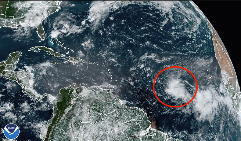 Screenshot 2023-06-19 at 4.11.58 PM.png