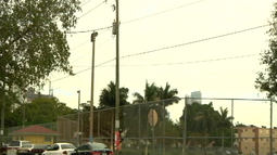 balean a un joven en la pequena habana balean a un joven en la pequena habana