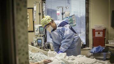 asciende a 245 la cifra de hospitalizados por covid-19
