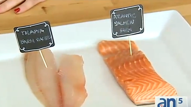 americateve | Comer pescado puede ser muy beneficioso por sus nutrientes como el omega 3 o la vitamina B. Pero a la vez algunos pescados pueden ser dañinos a la salud por sus contaminantes.